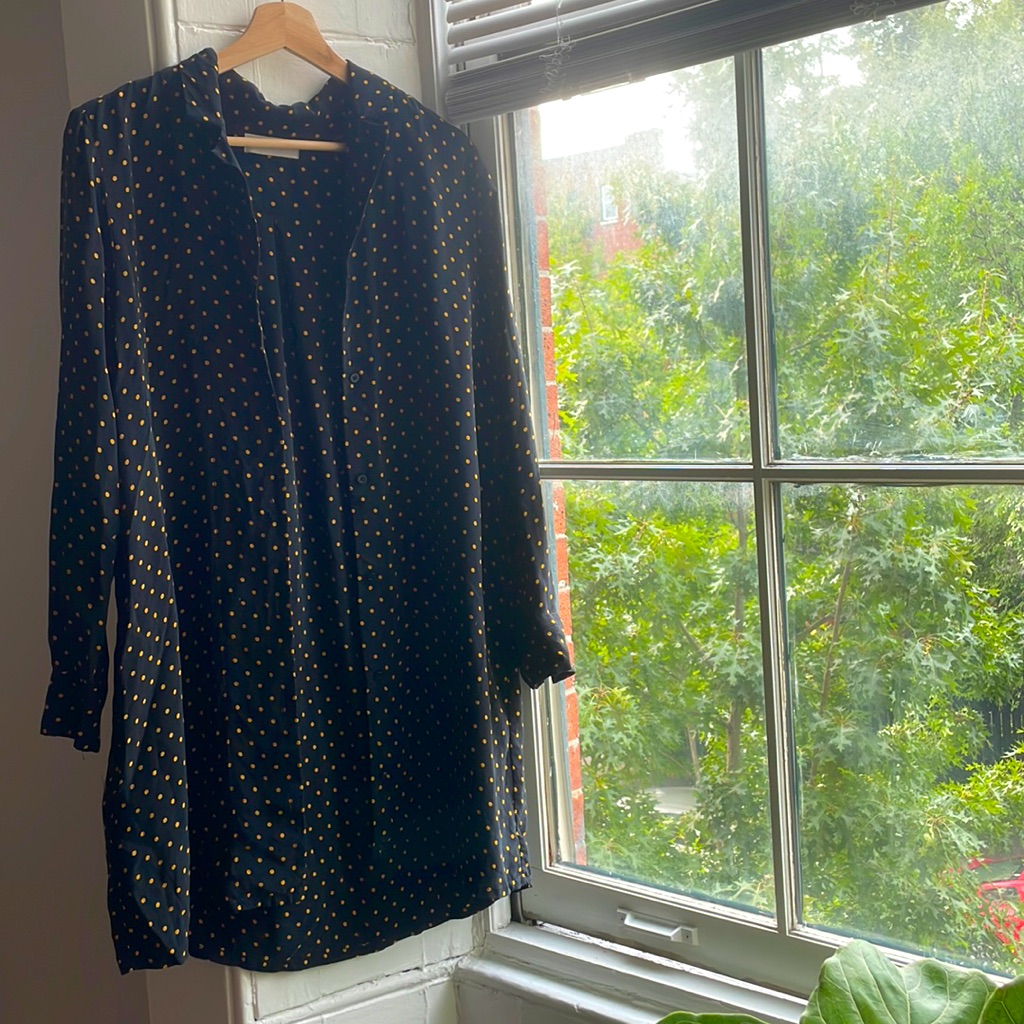 Everlane Long Button Down